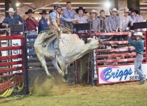 Championship Bull Riding Competition